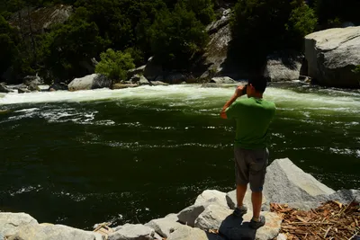 DSC_2265 (Large).JPG